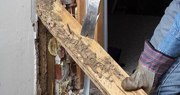 4 Above-and-Beyond Home Inspections That Could Save You Money