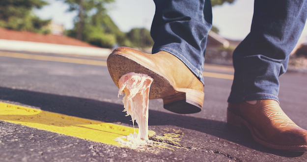 Lead gumshoefail