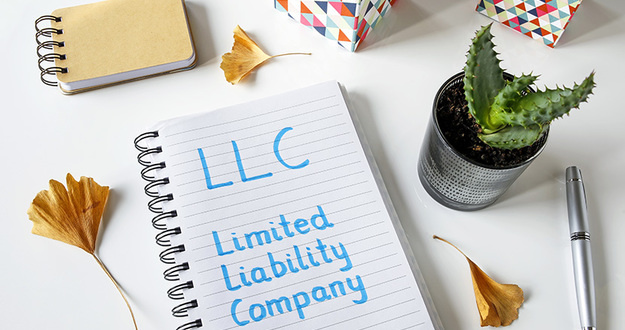 The Traditional LLC vs. the Series LLC: Which Is Better for Real Estate Investors? LLC written in blue marker on a spiral notebook laying on desk with small potted plant and other desk decor