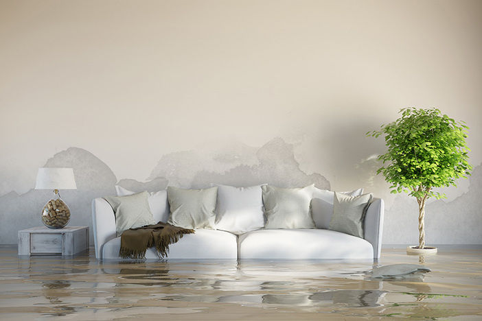 Everything You Need to Know About Commercial Liability Umbrella Policies flooded living room in modern living room couch and large plant in view