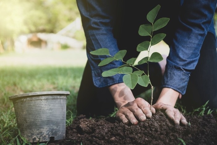 How to Begin Earning Passive Income From Real Estate—No Matter Your Level of Experience or Wealth growing-wealth