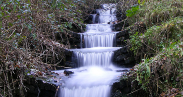 Liquid Reserves: The Lifeblood of a Rental Portfolio Liquid Reserves