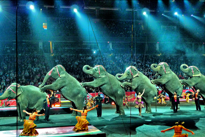 When Real Estate Investing Feels Like Juggling Elephants! Real Estate Investor