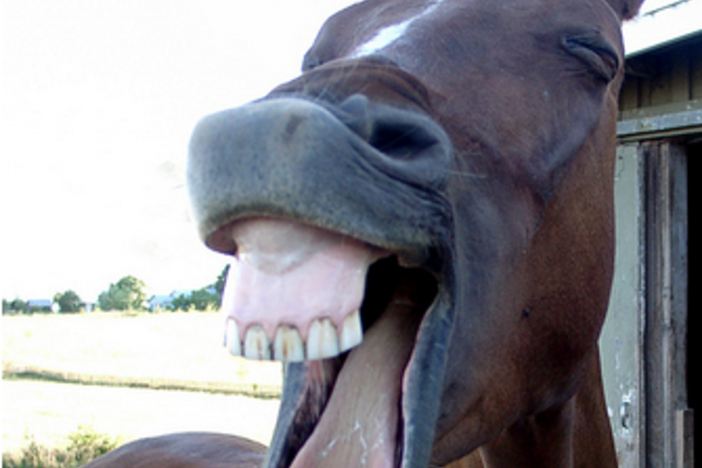 The Funniest Picture That Has Ever Been Posted on BiggerPockets.