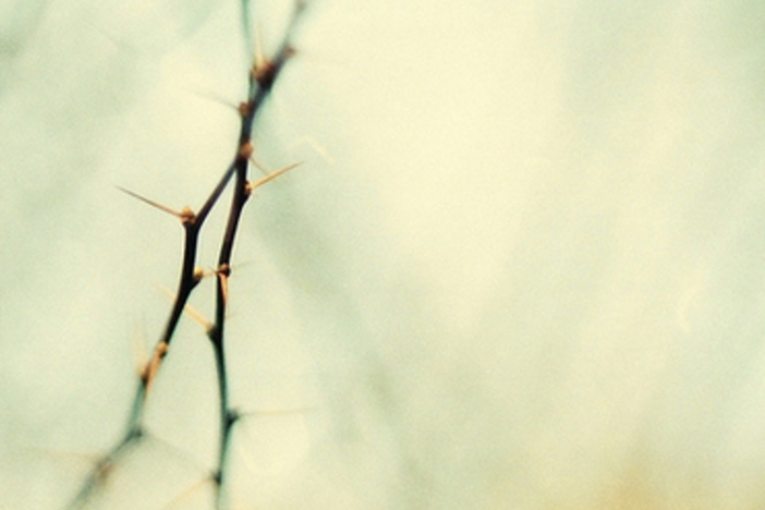 One “Painful” Tip You Can Start Using Today to Get More Deals Searching For Deals