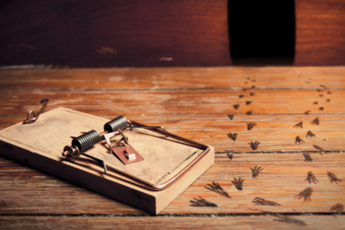 The Pest Clause: A Small Lease Addition to Avoid a Big Headache