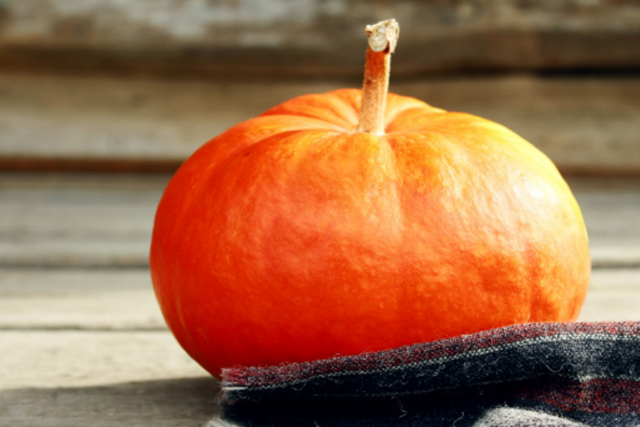 The Pumpkin Plan: A 7 Step Process for Fast Business Growth