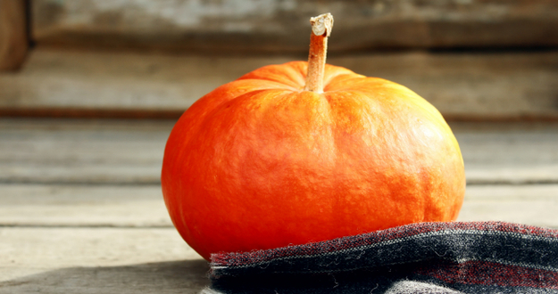 The Pumpkin Plan: A 7 Step Process for Fast Business Growth