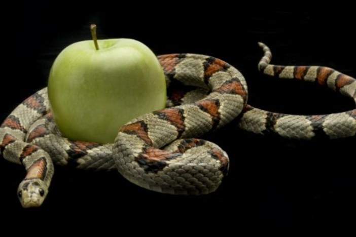 The 7 Deadly Sins of Real Estate Marketing: Are You Guilty?