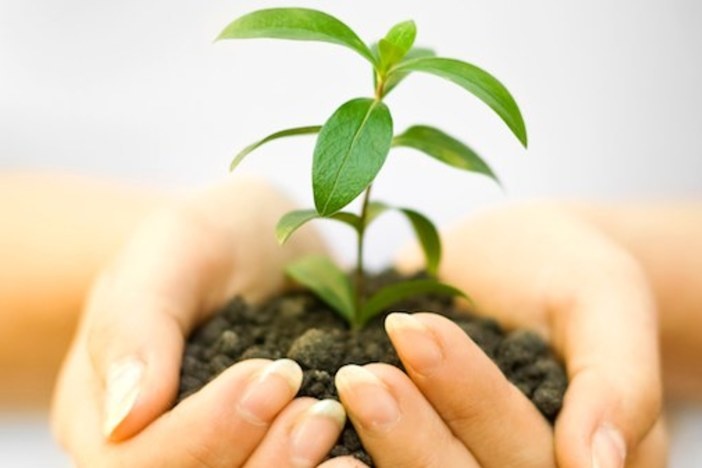 3 Crucial Areas Entrepreneurs Should Cultivate For a Sustainable Business