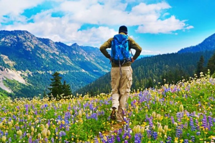 How to Forge a Foolproof Path to Reach Your Investment Goals investing-path