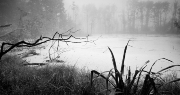 The Interstate Land Sales Full Disclosure Act: You Sold Me Swamp Land – I Want Out! swamp llc asset protection