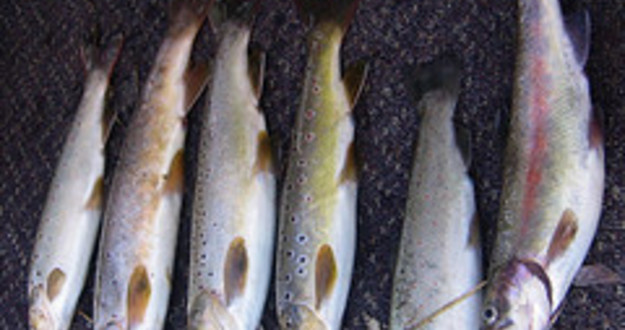 How to Haul in a Bigger Private Money ‘Catch’ hauling in a big catch of private money
